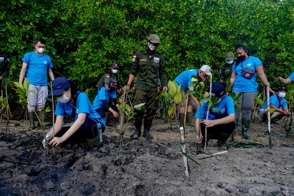 Budidaya Mangrove Pak Ahmad Tahir